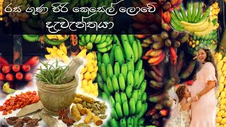 rehanaya nethrampalamkesel නේත්‍රප්පලම් කෙසෙල් [upl. by Alicul]