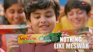 Dabur Meswak TVC – Complete Tooth and Gum Care [upl. by Ahsenra]