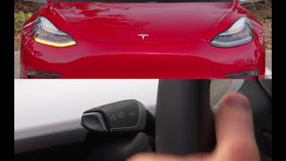 Tesla Model 3 amp Tesla Model Y  Turn Signals [upl. by Yorke]