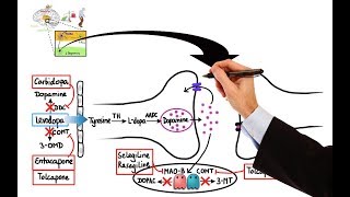 Pharmacology  DRUGS FOR PARKINSONS DISEASE MADE EASY [upl. by Ramsey]