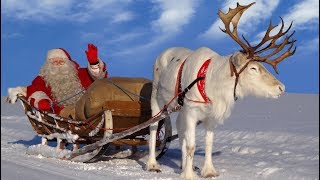 Best Santa Claus Reindeer Rides 🦌🎅 Lapland Father Christmas in Rovaniemi Arctic Circle Finland [upl. by Bywoods]