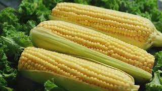 Corn Benefits and Why We Should Eat It Regularly [upl. by Nnaeel932]