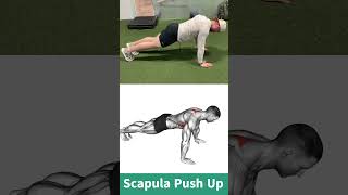 Try a Scapula Push Up And Get Amazing Shoulder Mobility [upl. by Ressay]