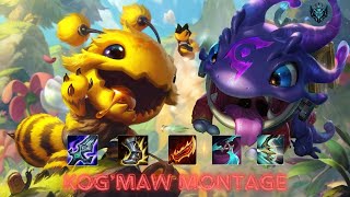 LEAGUE OF LEGENDS LOL KOGMAW MONTAGE S14 Best PLAYS SG  HYPER CARRY 60 FPS [upl. by Brendis]