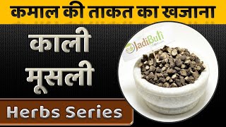 Kaali Musli Ke Fayde  काली मूसली के फायदे  Curculigo orchioides  JadibutiStore [upl. by Humfrey]