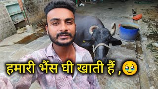 my new vlog yogesh meena [upl. by Ettezil]