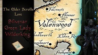 The Government of Valenwood  The Elder Scrolls Lore [upl. by Analed273]