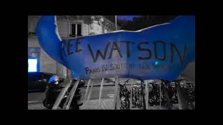 Free Paul Watson  Les baleines gonflables des Elefs de La Goutte dOr de Paris sont à la Bastille [upl. by Lissi]