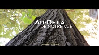 Audelà de notre vue documentaire [upl. by Cassella248]