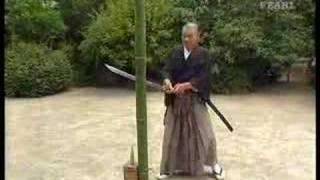 Great tameshigiri by Ueki sensei  Legendary Budo Masters [upl. by Anaihsat]