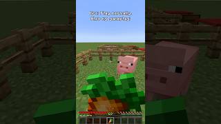 watch till the end minecraft [upl. by Sezen]