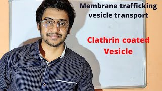 Cell biology  Vesicle transport   clathrin coated vesicle formation [upl. by Hutt1]