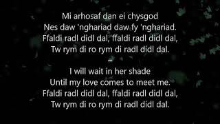 Dacw Nghariad  A Traditional Welsh Folk Song  Celtic Arrangement [upl. by Holna770]