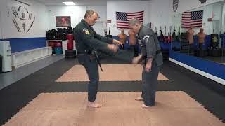 Executing the American Kenpo technique Aggressive Twins [upl. by Ahseihs]