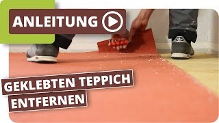 geklebten Teppich entfernen  Teppichkleber ohne schleifen mit Abbeizer entfernen [upl. by Eeramit446]