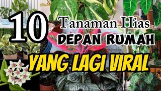 Tanaman Hias Depan Rumah Yang Lagi Viral tanaman tanamanhias depanrumah [upl. by Siskind]