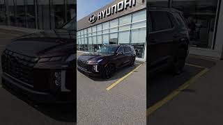 2025 Hyundai Palisade Urban in Sierra Burgundy [upl. by Hartley]