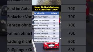 Neue Bußgelder im Straßenverkehr 2024 [upl. by Nauqram301]