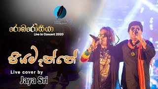 PIYAMANNE LIVE COVER BY JAYA SRI AT ROBAROSIYA 2020  OFFICIAL VIDEO [upl. by Assilem]