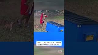 Man Throws Aggressive Coyote in Trash Bin shorts [upl. by Eemla]