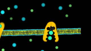 Basics 5 The SodiumPotassium Pump NaK Pump [upl. by Ennove]