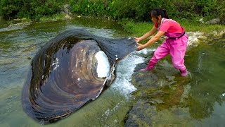 Today we encountered a huge river clam again and the pearls were all splashing out [upl. by Beth444]