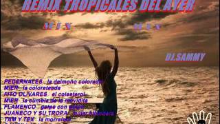 REMIX TROPICALES DEL AYER MIX DJ SAMMY [upl. by Neliac]