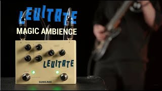 Sonicake Levitate  Degital Delay Plate Reverb 2 effecs in 1 Guitar Pedal [upl. by Gnaoh]