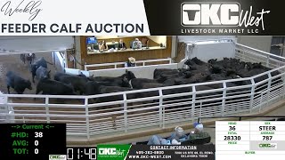 3132024  OKC West Feeder Calf Auction [upl. by Heall373]