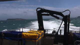 Steward Island Ferry Crossing In Rough Seas [upl. by Avictor439]