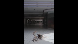 Flying my drone through the abandoned Phillipsburg Mall exlog shorts [upl. by Tletski]