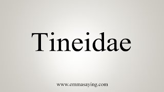 How To Say Tineidae [upl. by Eelamme]