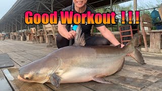 This Mekong Catfish Gave Me A Good Workout [upl. by Enaled]