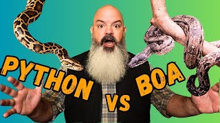 Python vs Boa What Should You Get [upl. by Laine543]