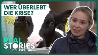 Rekordverluste in der Landwirtschaft Deutsche Betriebe geben auf  Doku  Real Stories DE [upl. by Htide770]