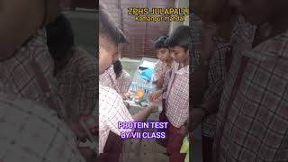 PROTEIN TEST BY VII CLASS ZPHS JULAPALLIKAMANPUR MANDAL [upl. by Wait]