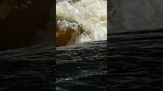 Lower Madawaska Scare canoecamping whitewater adventure camping backcountry rapids [upl. by Emmett]