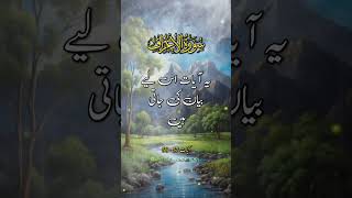 Surah Arafquran reaction islamiclectures inspirationalmuslims [upl. by Cris]