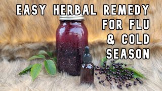 Elderberry tincture recipe using fresh elderberries [upl. by Staw807]