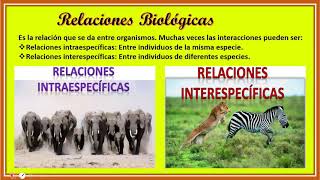 BIOLOGIA 5º RELACIONES BIOLOGICAS 18 11 2020 [upl. by Tirrag]