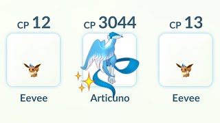 SHINY GALARIAN ARTICUNO vs Team Go Rocket 🚀 Leader SIERRA in Pokemon GO [upl. by Orsa758]