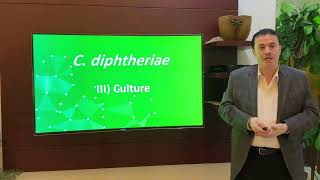 12 26 Corynebacterium diphtheriae Morphology and Culture [upl. by Crudden]