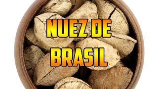 PARA QUE SIRVE🌿NUEZ DE BRASIL🌿BENEFICIOS🌿Bertholletia excelsa🌿ANTIOXIDANTES🌿PROPIEDADES USOS🌿 [upl. by Jacquet447]