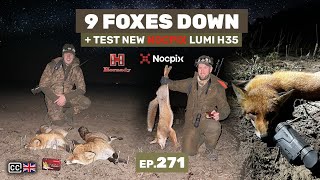 9 Foxes Down  Fox CallingNOCPIX LUMI H35 on Test Vabljenje lisica  9 odstrela E271 [upl. by Yrrep]