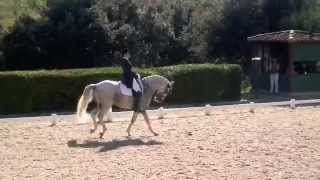 GP Pro Elite  Jenny LARGILLIERE ambassadrice du Dressage Artistique [upl. by Qifahs773]