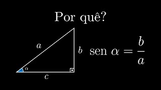 Por Que o Seno é o Cateto Oposto Dividido pela Hipotenusa Explicação Completa [upl. by Asirralc]