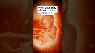 🤯🤯What Your Baby Already Knows By Birth [upl. by Ennaisoj]