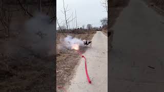 Dog vs firecrackerfunnyvideos funny funypets funnydogs dogfunnyanimals [upl. by Einnek]