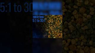 What should nitrate levels be in a reef tank 52se brstv [upl. by Nitsruk]