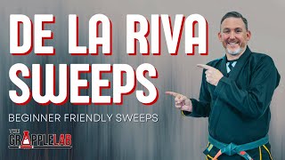 Basic De La Riva Sweeps EVERY Beginner Should Know [upl. by Aikat]